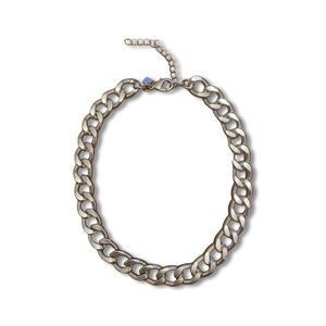 Banana Republic Silver Curb Link Chain Necklace